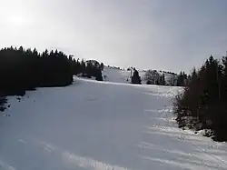 La piste Violette des Clots(secteur des Glovettes).