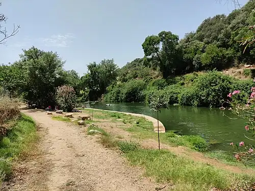 Le Guadiaro un peu en amont de la gare, vue vers le sud