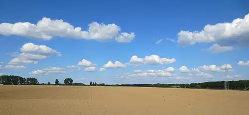 Estaimpuis au printemps.