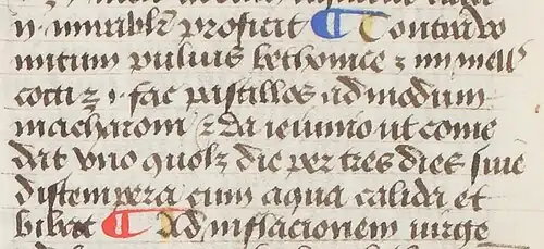 Détail d'une page de manuscrit montrant 7 lignes de texte en gothique, la première et la dernière comprenant un pied-de-mouche respectivement rouge et bleu.