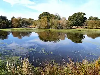 Image illustrative de l’article Étang de Bouzaire