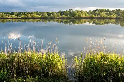 Etang de Pierre Lorraine.