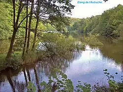 L'étang d'Autruche.