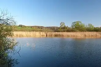 Image illustrative de l’article Étang des Puits
