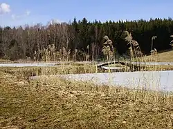 L'étang des Chartreux.