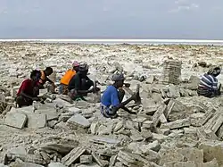 Exploitation du sel au lac Karoum (en saison sèche).