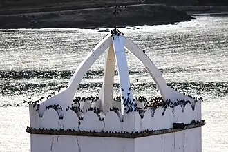 Groupe sur un clocher à El Port de la Selva (Espagne).