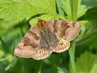 Description de cette image, également commentée ci-après