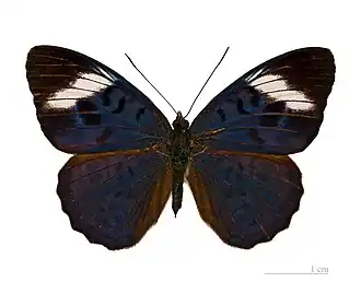 Description de cette image, également commentée ci-après