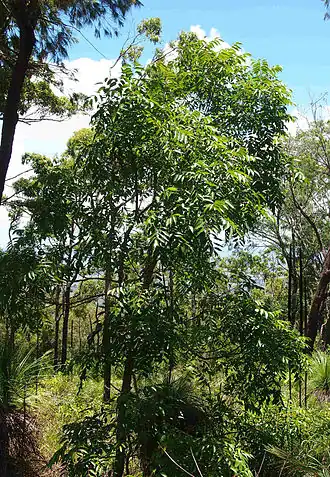 Description de cette image, également commentée ci-après