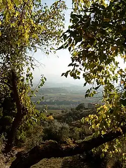 La vallée vue du village.