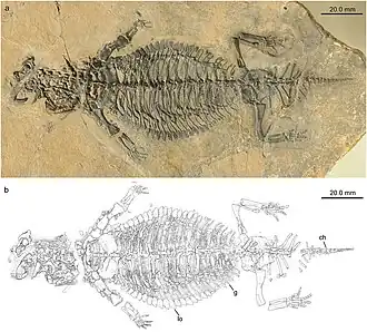 Description de cette image, également commentée ci-après