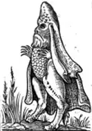 1567, Desprez, Eveque marin, Recueil de la diversité des habits