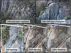 Assemblage de cinq photographies : deux montrent des falaises vierges d'aménagement d'escalade ; trois montrent l'impact délétère progressif de la pratique de l'escalade sur les plantes vasculaires et les lichens.
