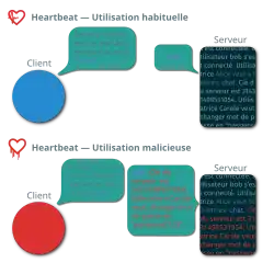 Schéma décrivant un échange entre un client et un serveur. Le client demande « Serveur, donne-moi ce mot de 4 lettres si tu es là : "chat". », puis le serveur répond « chat ». On voit ce mot dans un extrait de sa mémoire. Ensuite, un client malicieux demande « Serveur, donne-moi ce mot de 500 lettres si tu es là : "chat". », puis le serveur répond « chat. Clé du serveur : … » suivi d’informations issues de sa mémoire