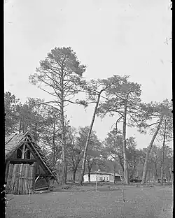 Maison et bergerie, Bouricos, Pontenx. Photographie de Félix Arnaudin.