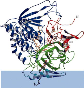 Image illustrative de l’article ETF déshydrogénase