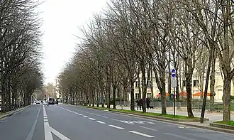 L'avenue vue en direction du rond-point des Champs-Elysées.