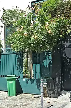 L'entrée fleurie d'une maison.