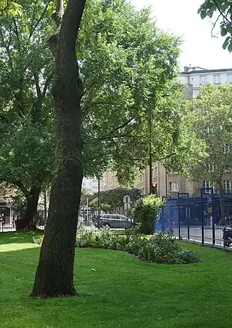 Image illustrative de l’article Square Samuel-Beckett