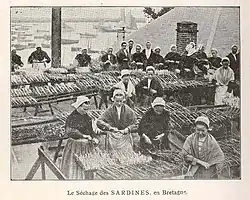Photographie en noir et blanc montrant plusieurs femmes triant des sardines sur des tables installées sur les quais du port.