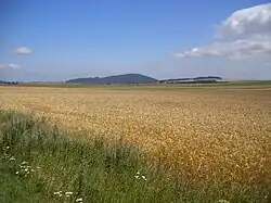 Plateau agricole en Haute-Loire.