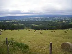 Paysage de la Margeride, au nord.