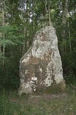 Menhir dit la Pierre-Fitte