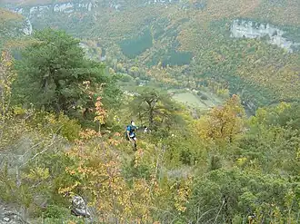 Coureurs dans la montée vers la ferme du Cade, en 2015