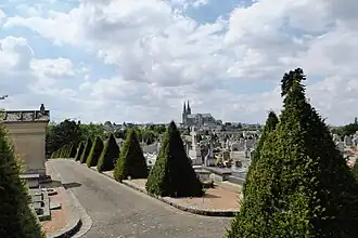 Allée d'ifs taillés en topiaires.