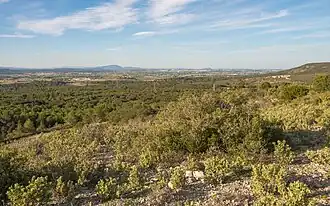 Vue depuis le sud dans la montagne de la Gardiole en 2014.