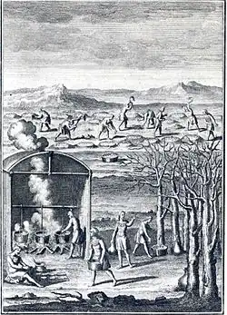 Fabrication du sirop d'érable par les Amérindiens en Nouvelle-France (XVIIIe&nbsp;siècle) par Joseph-François Lafitau.