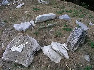 Structure avec orthostates