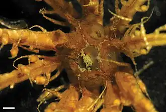 Description de cette image, également commentée ci-après