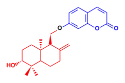 Formule topologique d'un composé aromatique bicyclique de type benzopyrane lié par pont éther-oxyde à une chaîne à quinze carbones bicyclique et hydroxylée.