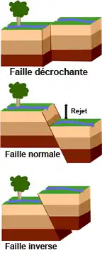 Les 3 principaux types de failles qui correspondent aux trois types de mouvements tectoniques (transformant, divergent, convergent). Ce bloc-diagramme masque deux faits : bon nombre de failles sont composites et ont ces trois composantes ; les failles visibles sont rares par rapport aux failles aveugles qui ne se traduisent par aucun décalage en surface .