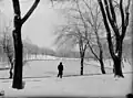 Promeneur entre les arbres défoliés du parc La Fontaine, au début du printemps 1938.
