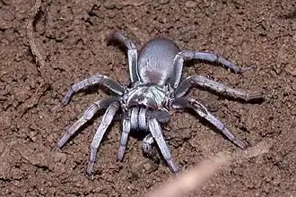 Description de cette image, également commentée ci-après