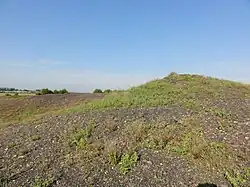 Le terril exploité.