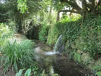 Ruisseau coulant le long d'un muret de granit couvert de végétation.