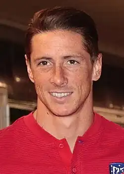 Image illustrative de l’article Fernando Torres