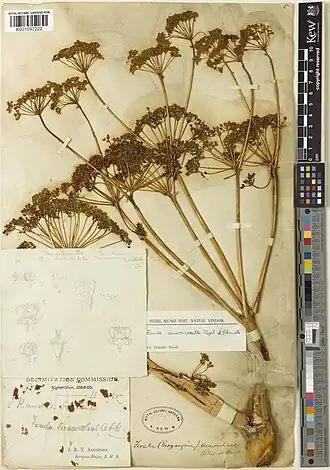 Description de cette image, également commentée ci-après