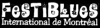 Image illustrative de l’article FestiBlues international de Montréal