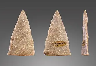 Fragment de feuille de laurier solutréenne - Édouard Lartet - Muséum de Toulouse