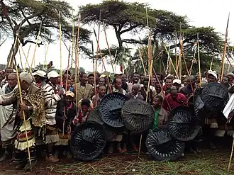 Image illustrative de l’article Fichee-Chambalaalla