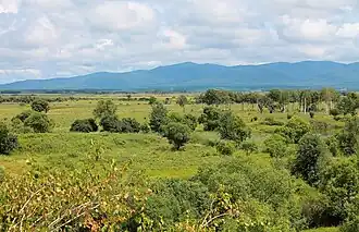 Oblast autonome juif