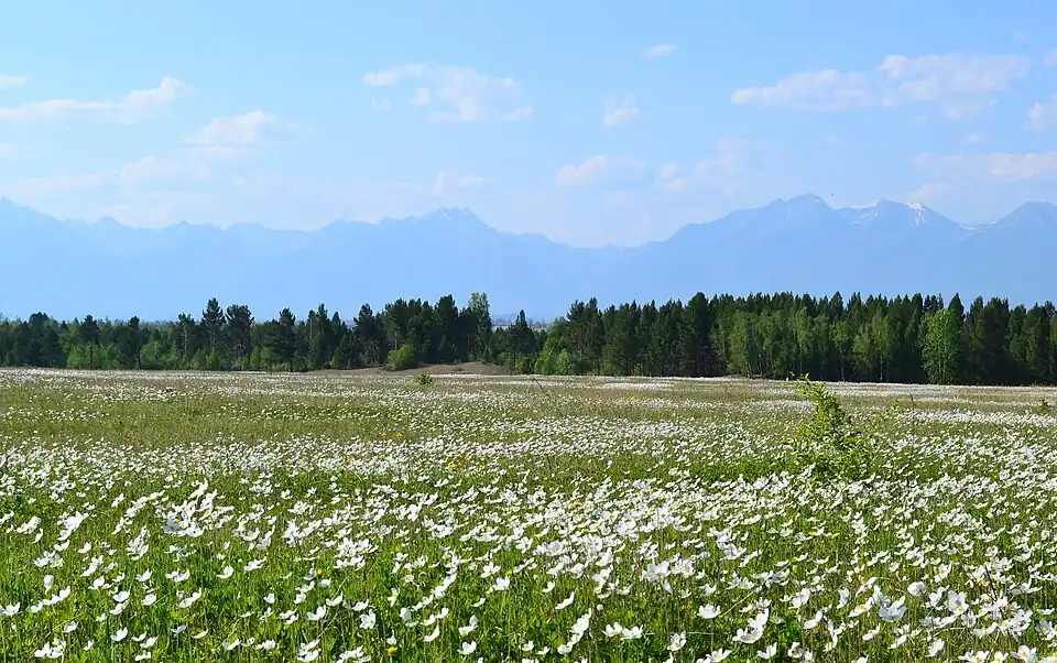 Vallée de la Tounka, parc national de la Tounka.