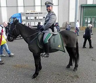 Poney de Monterufoli appartenant au Corpo Forestale dello Stato, à la Fieracavalli 2014.