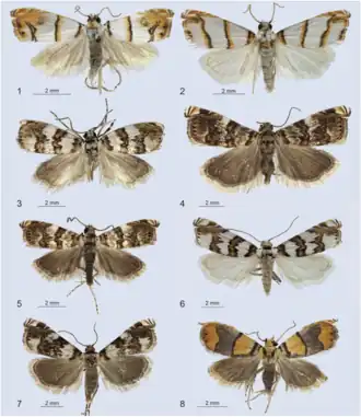 Description de cette image, également commentée ci-après