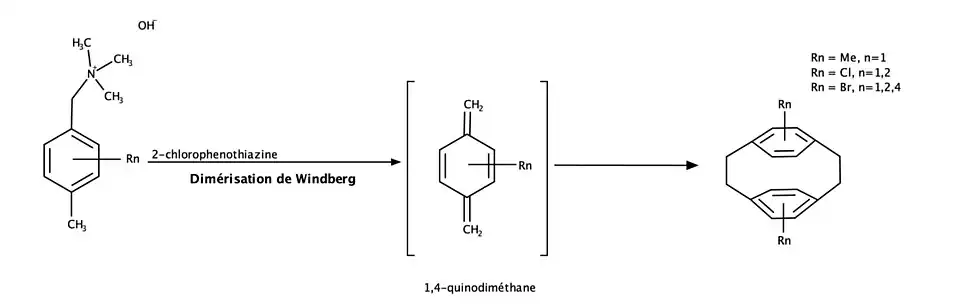 Dimérisation de Windberg